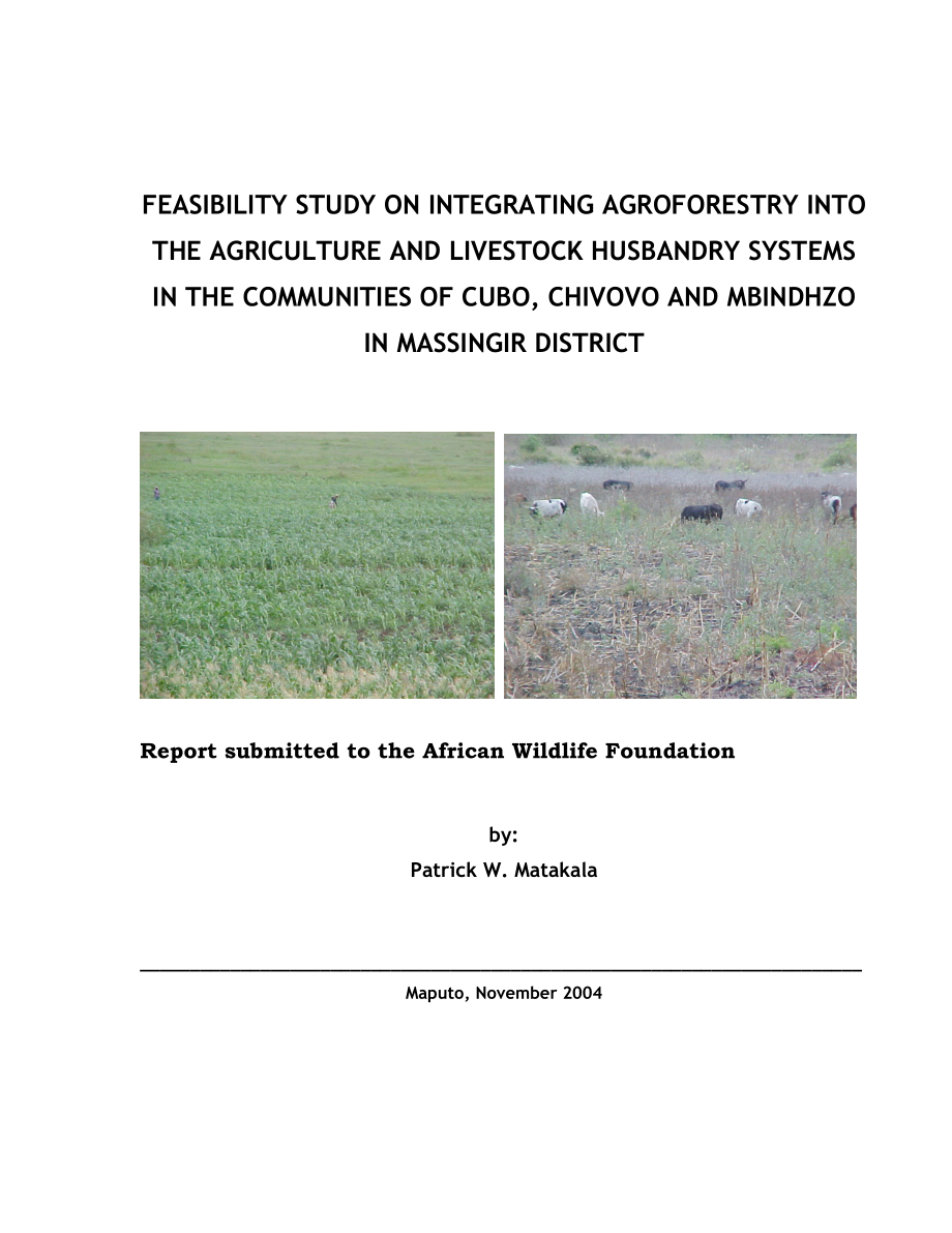 Feasibility study on integrating agroforestry into the agriculture and livestock husbandry systems in the communities of Cubo, Chivovo and Mbindhzo in.doc_第1页