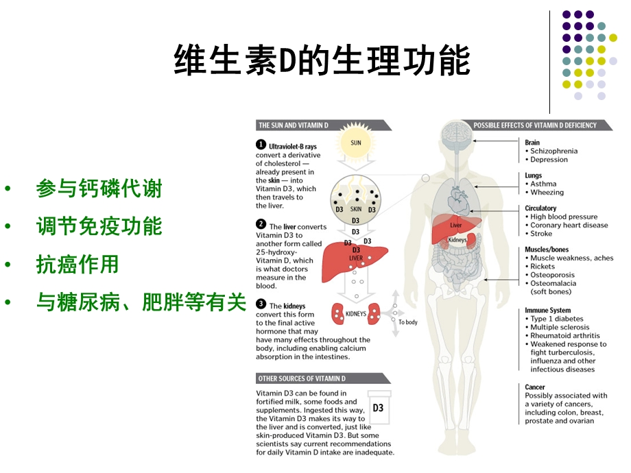 (儿童保健学)VitD的营养课件.ppt_第3页