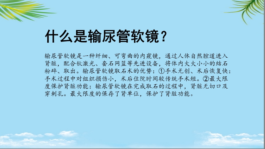 输尿管软镜健康宣教ppt资料课件.ppt_第2页