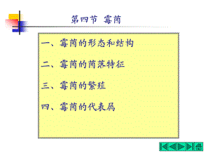 食品微生物学-霉菌课件.ppt