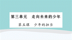 九年级下册道德与法治第三单元第5课《少年的担当》复习知识梳理课件.ppt