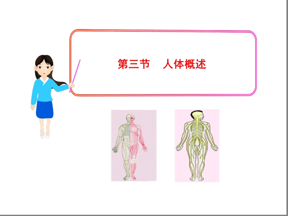 七年级下册生物ppt-人体概述课件苏教版.ppt_第1页