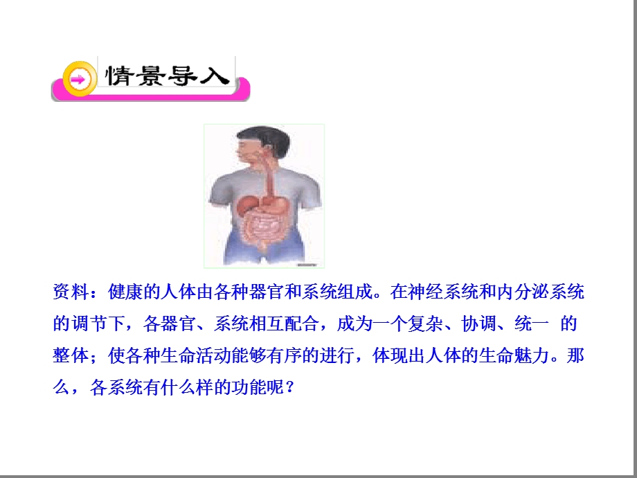 七年级下册生物ppt-人体概述课件苏教版.ppt_第2页