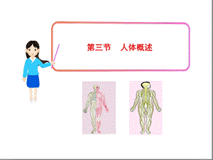 七年级下册生物ppt-人体概述课件苏教版.ppt