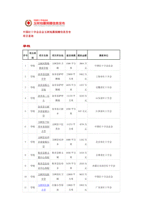 中国红十字会总会玉树地震捐赠信息发布项目.doc