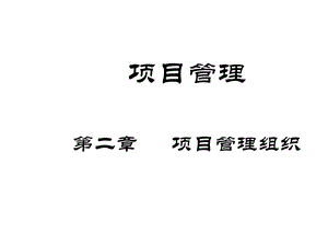 项目组织项目经理模板课件.ppt