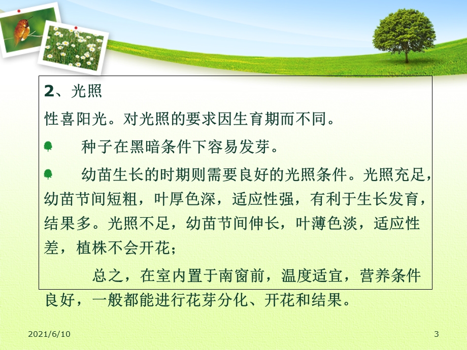 《蔬菜种植技术》课件.ppt_第3页