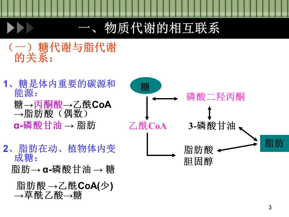 代谢的调节医学ppt课件.ppt_第3页