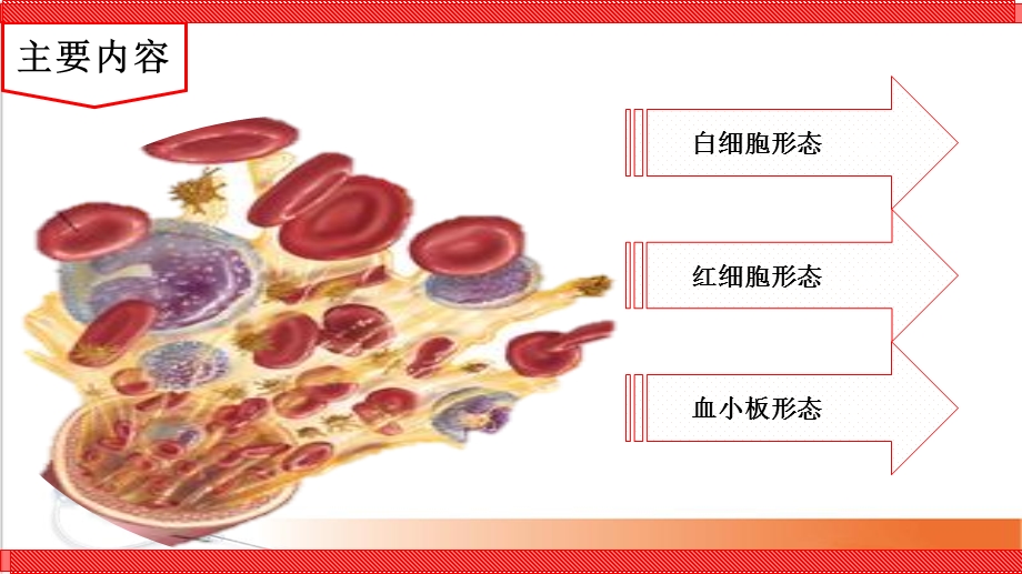 血小板检测影响因素课件.ppt_第2页