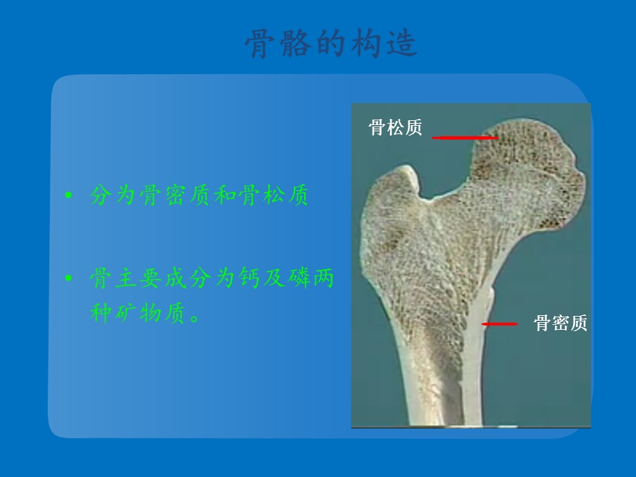 骨质疏松的预防及用药注意事项课件.ppt_第3页