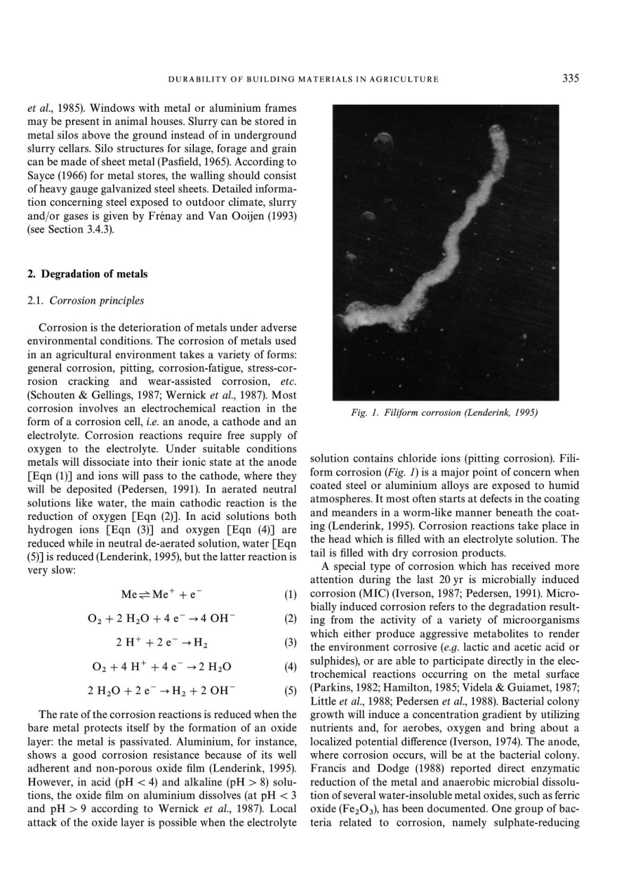 DURABILITY OF BUILDING MATERIALS AND COMPONENTS IN THE AGRICULTURAL ENVIRONMENT, PART IIMETAL.doc_第3页