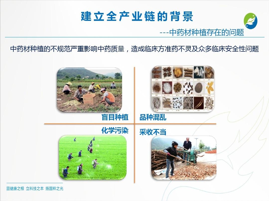 中药配方颗粒全产业链课件.ppt_第3页