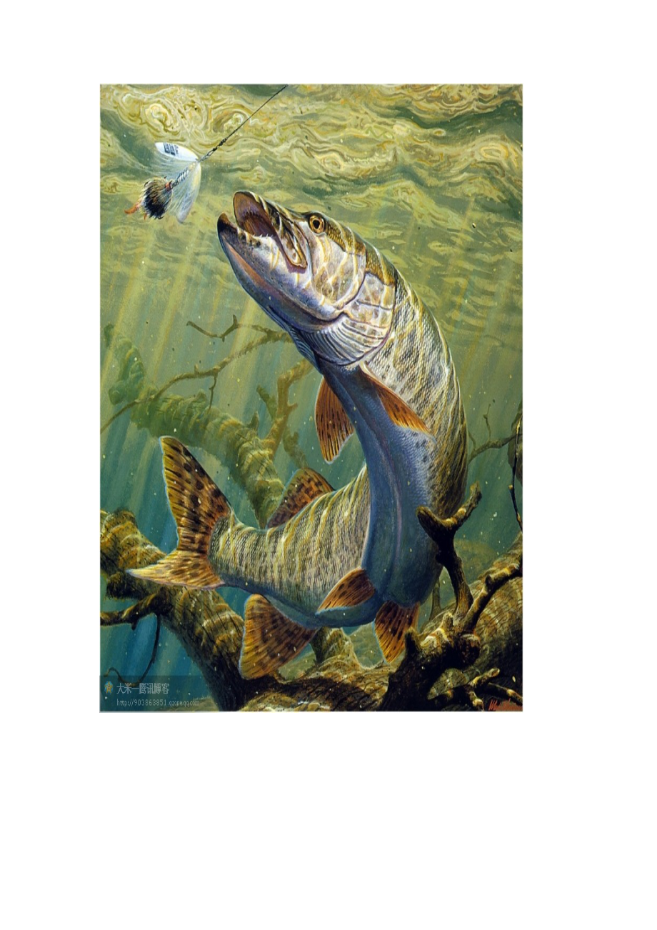 海底世界鱼类绘画欣赏.doc_第2页