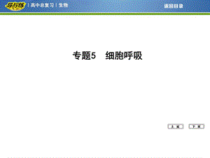 专题5细胞呼吸课件.ppt