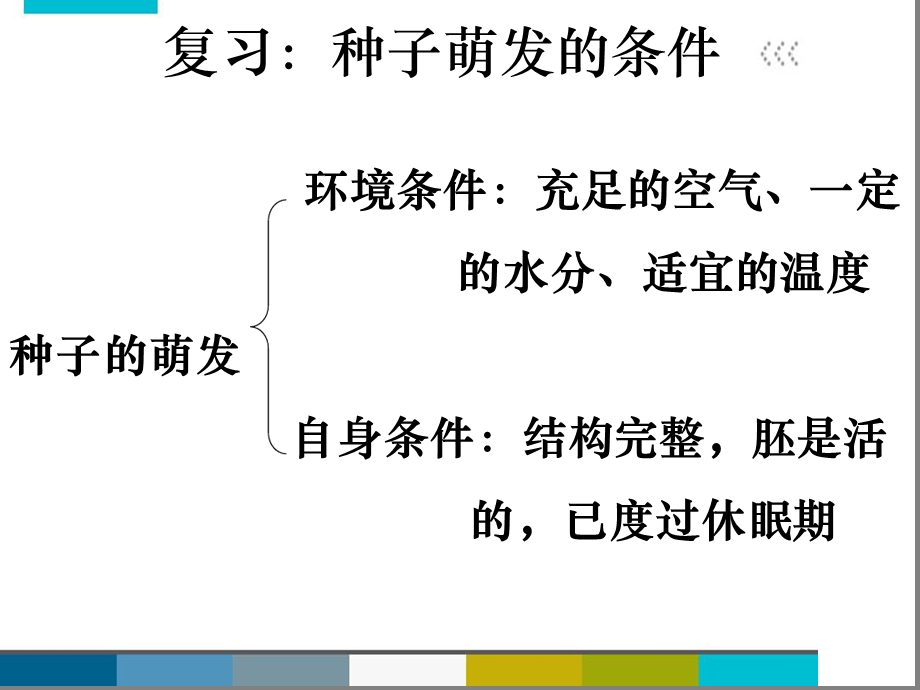 人教版七年级生物上册第一节种子的萌发第二课时ppt课件.ppt_第2页