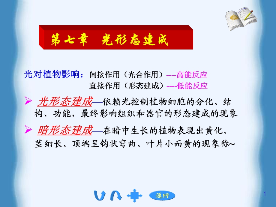 光敏色素在形态建成中课件.ppt_第1页