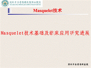 Masquelet技术参考ppt课件.ppt