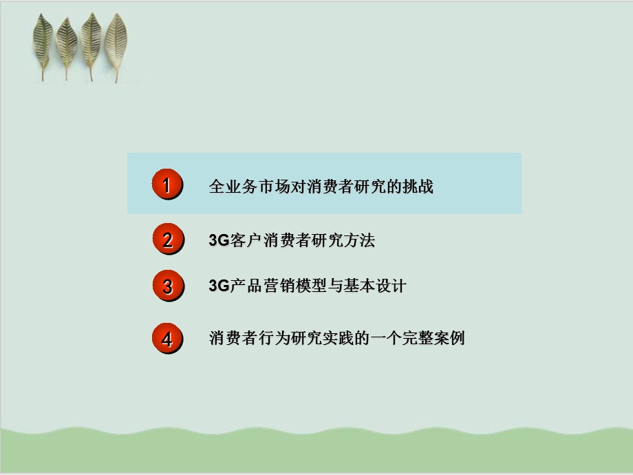 3G客户消费者行为与营销策略课件.ppt_第2页