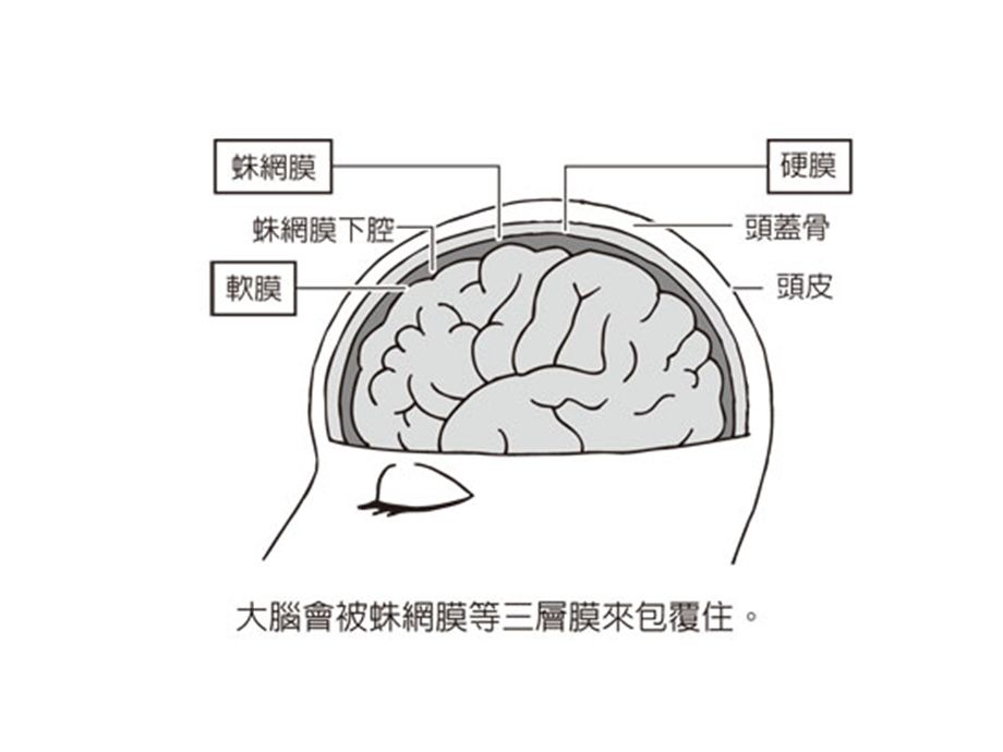 动脉瘤性蛛网膜下腔出血诊治医学ppt课件.ppt_第2页