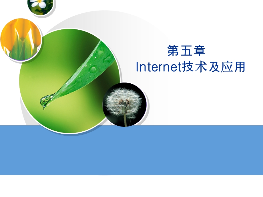 Internet技术及应用课件.ppt_第1页