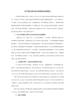 关于建立联合执法机制的实施意见.doc