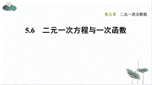 二元一次方程与一次函数北师大版八年级数学上册习题课件.ppt