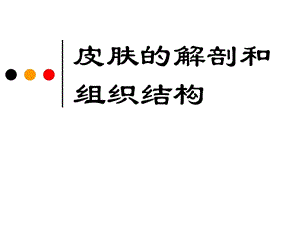 第二章 皮肤的解剖和组织结构ppt课件.ppt