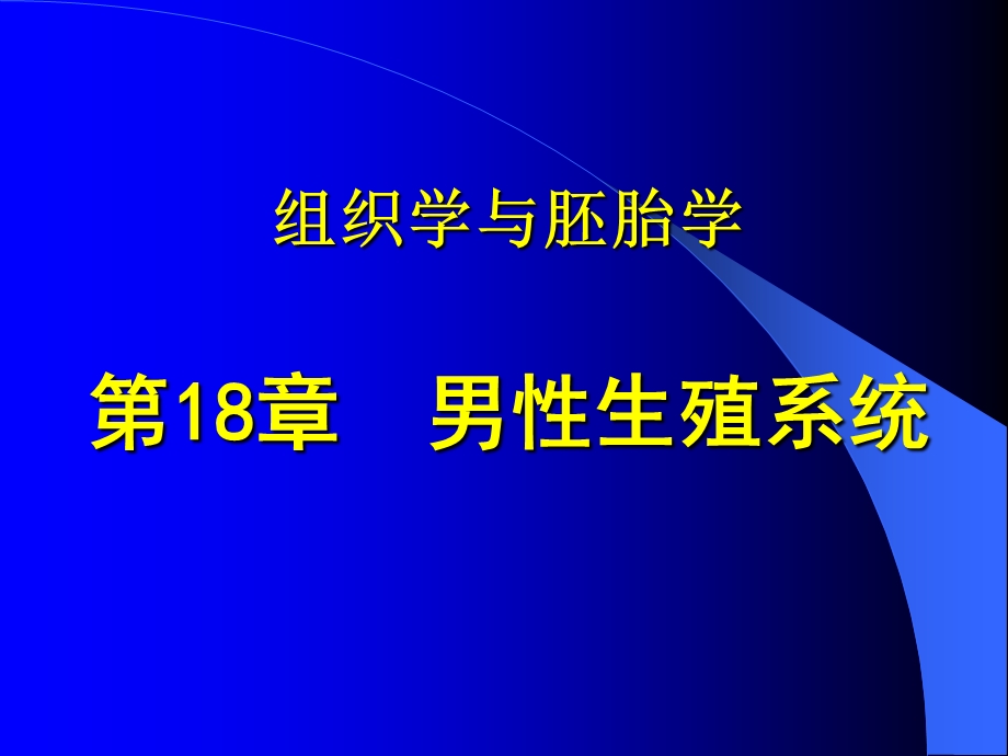 组织学与胚胎学男性生殖系统组织胚胎学ppt课件.ppt_第1页