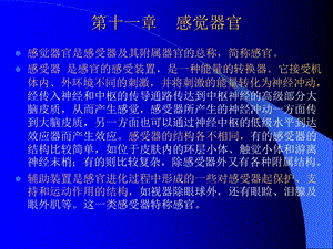 组织学与解剖学感觉器官课件.ppt