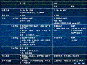 第10章DNA的生物合成课件.ppt