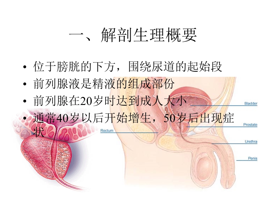 第四十四章尿路梗阻课件.ppt_第2页