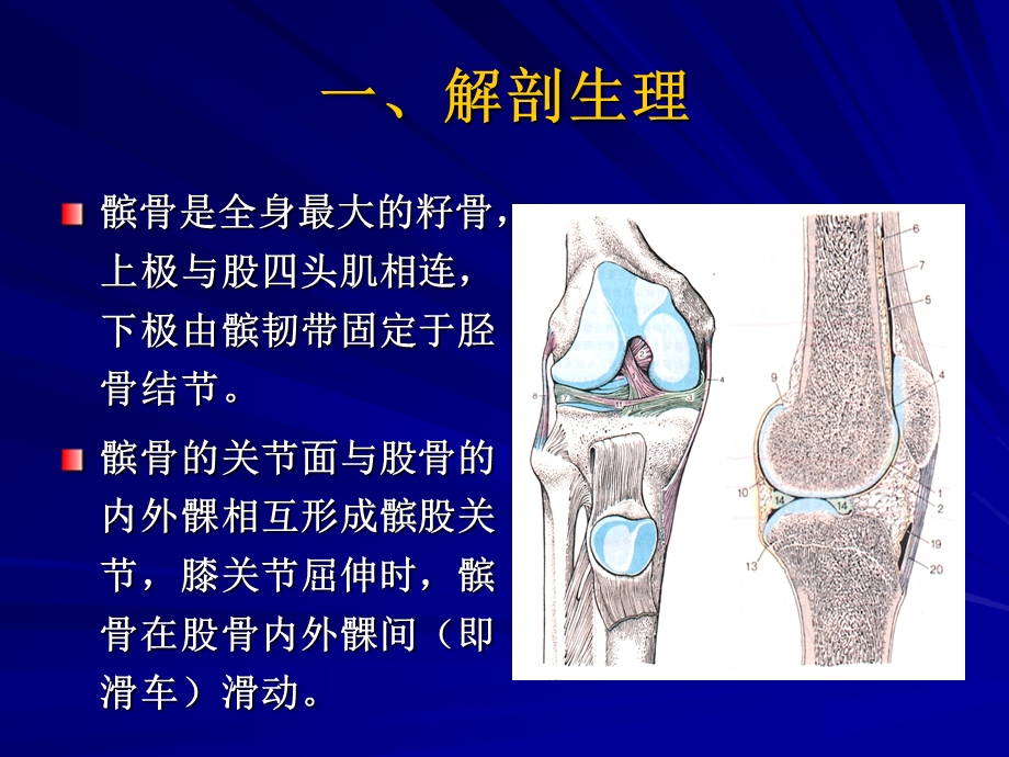 髌骨软化症影像诊断课件.ppt_第2页