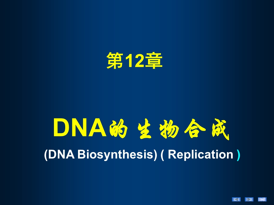 第12章 DNA的生物合成（HDN）课件.ppt_第3页