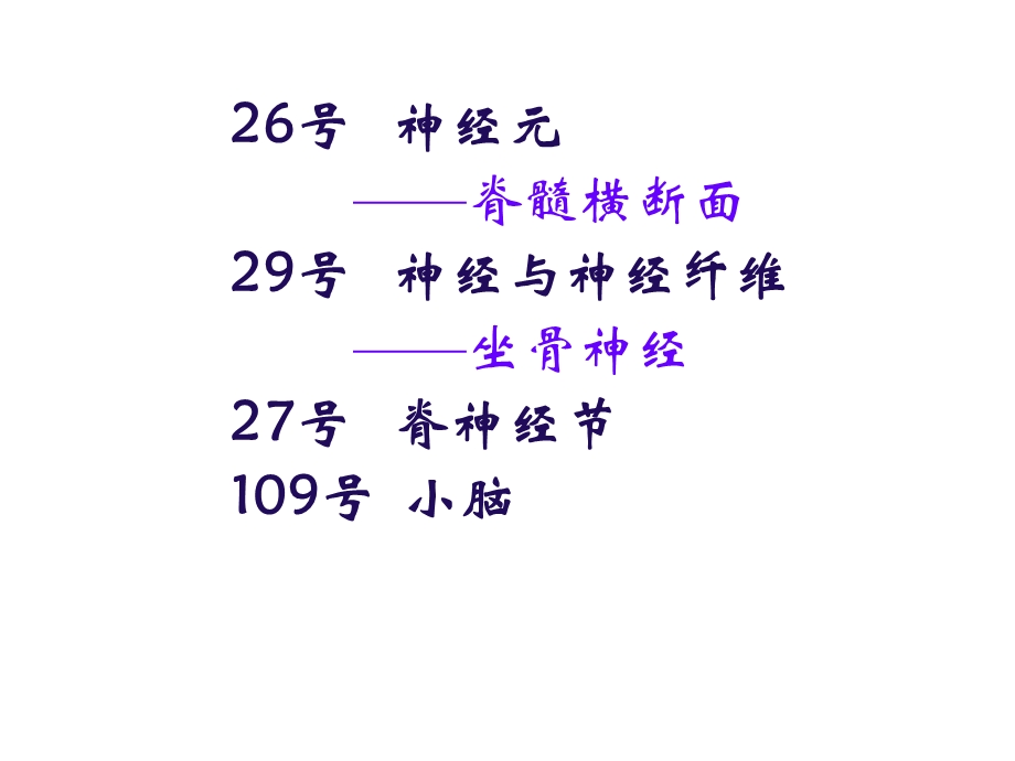 组织学与胚胎学实验考试 实验5 神经组织、神经系统课件.ppt_第2页