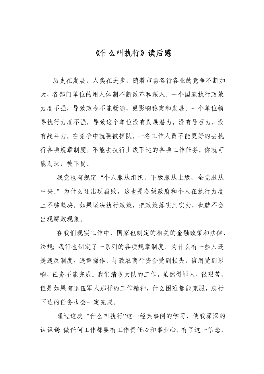 什么叫执行读后感想(盛守财).doc_第1页