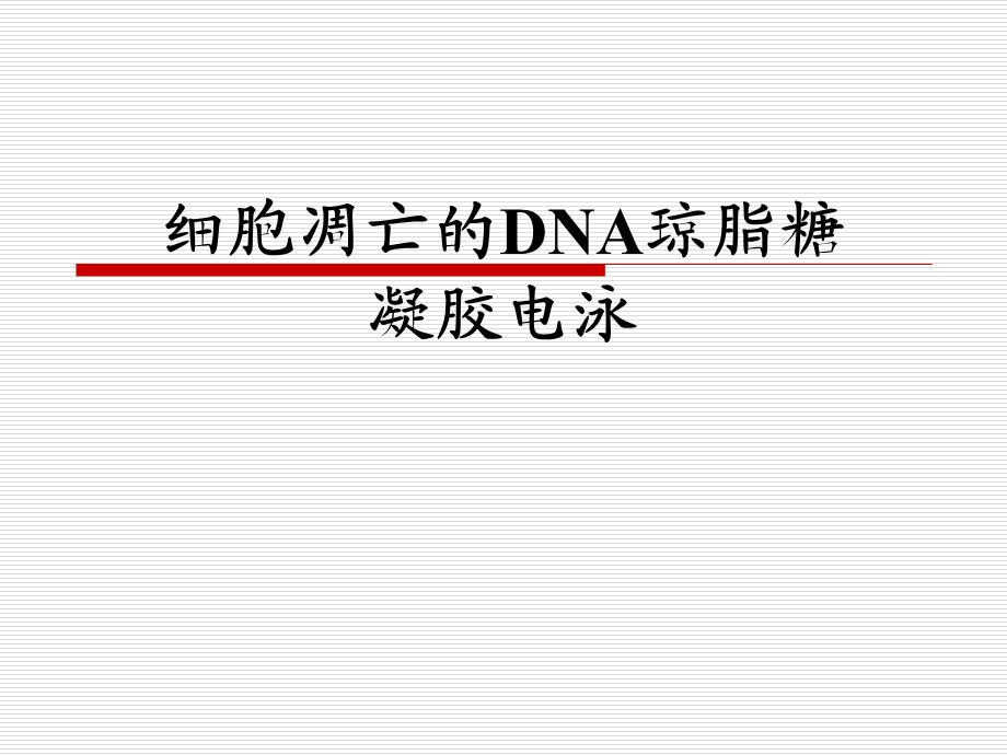 细胞凋亡的DNA琼脂糖凝胶电泳课件.ppt_第1页