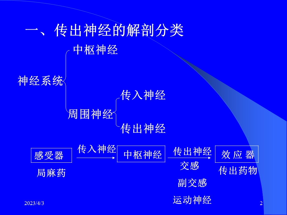 药理学第5章传出神经系统概论课件.ppt_第2页