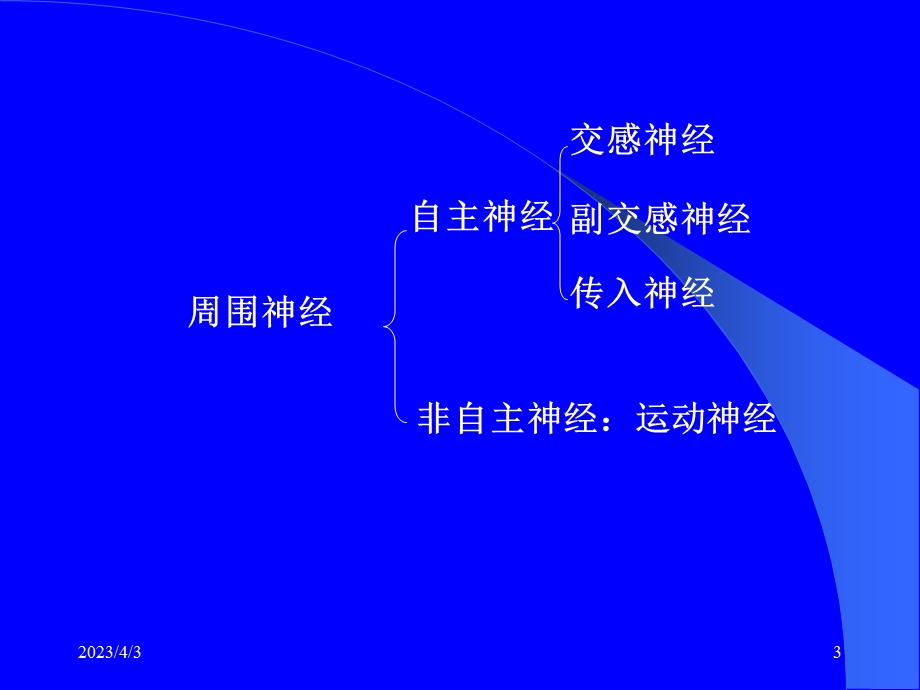 药理学第5章传出神经系统概论课件.ppt_第3页