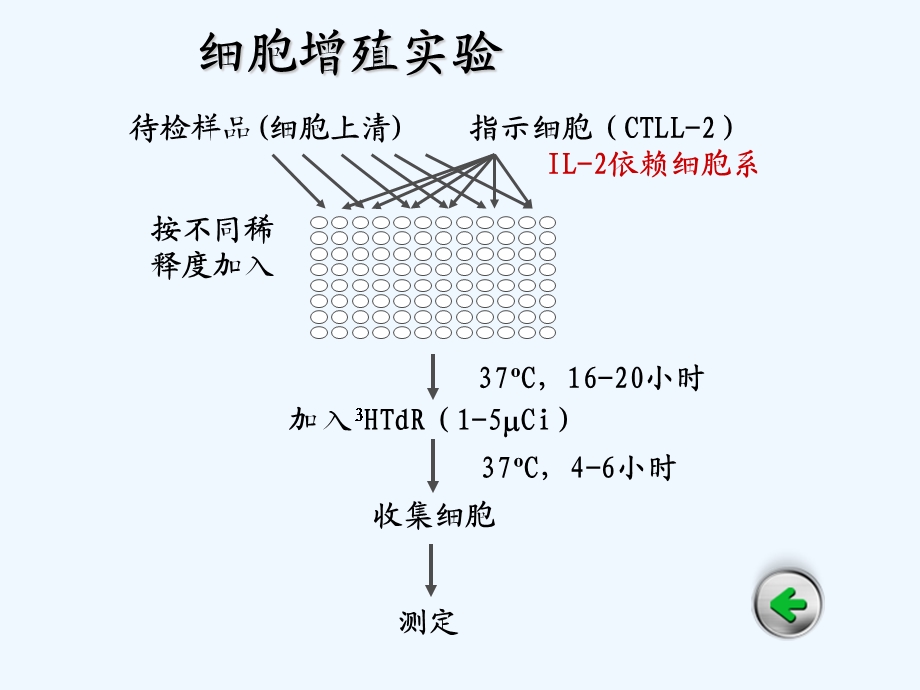 细胞因子检测课件.ppt_第3页