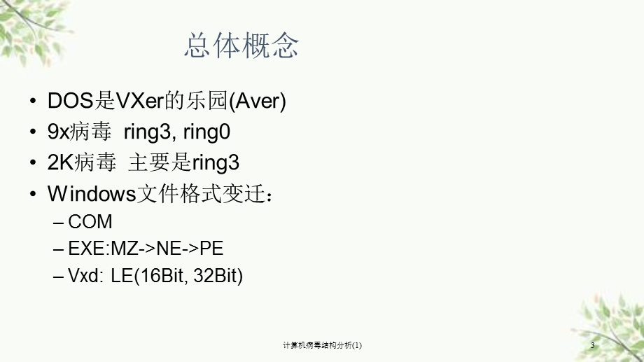 计算机病毒结构分析(1)ppt课件.ppt_第3页