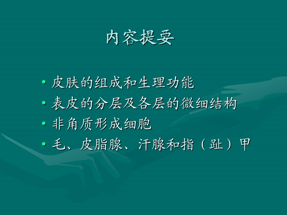 组织胚胎学--第11章皮肤课件.ppt_第2页