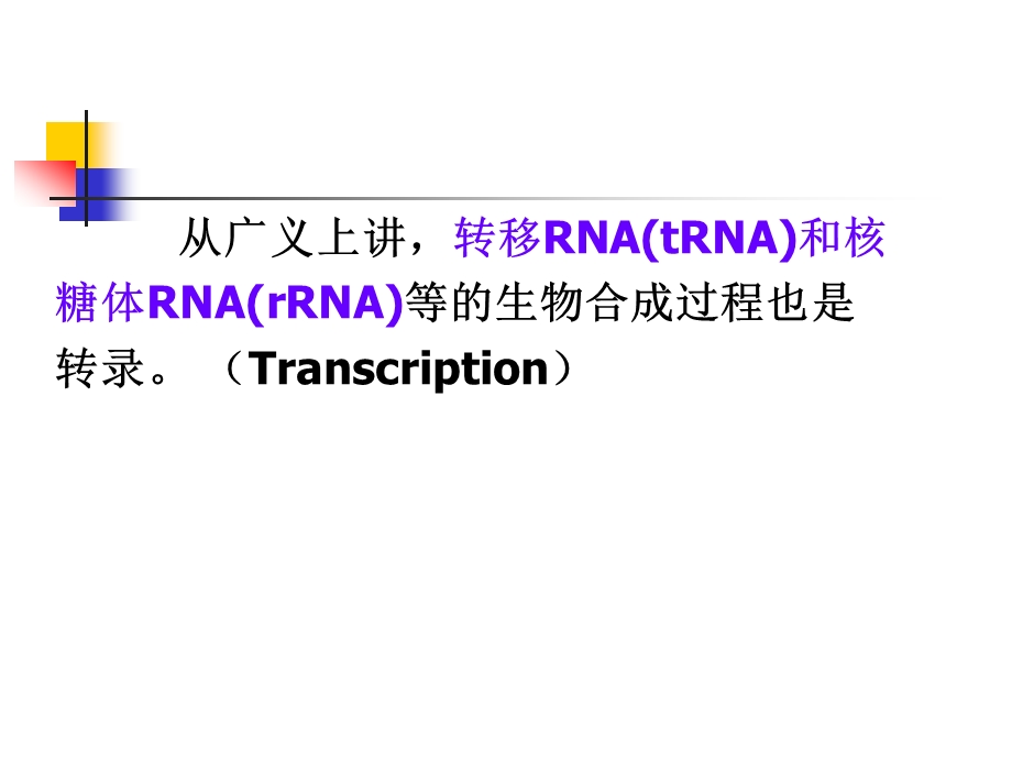 第十四 rna生物合成章09级用(ppt课件).ppt_第2页