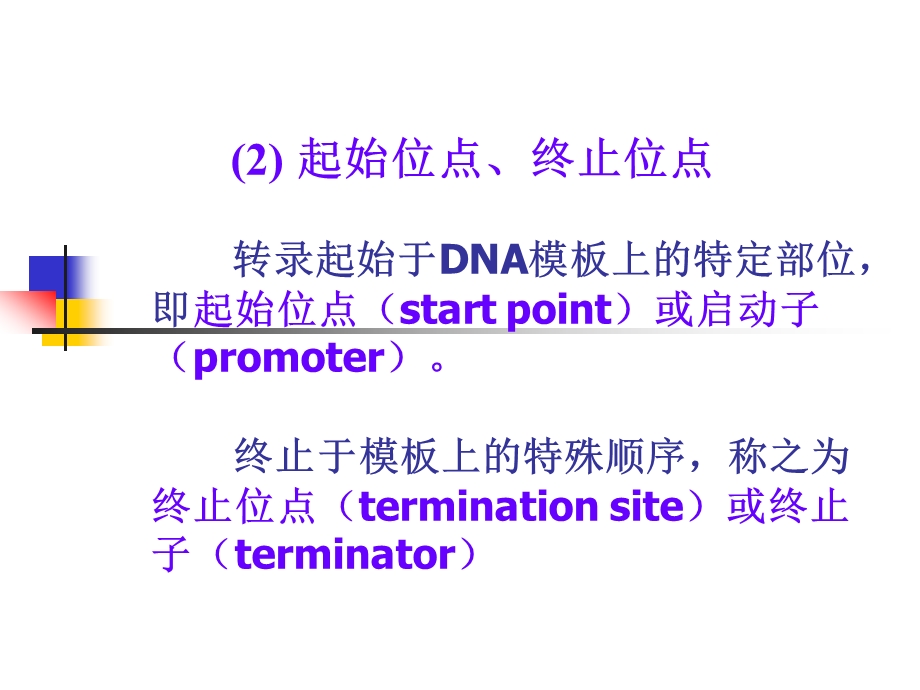 第十四 rna生物合成章09级用(ppt课件).ppt_第3页