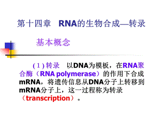 第十四 rna生物合成章09级用(ppt课件).ppt