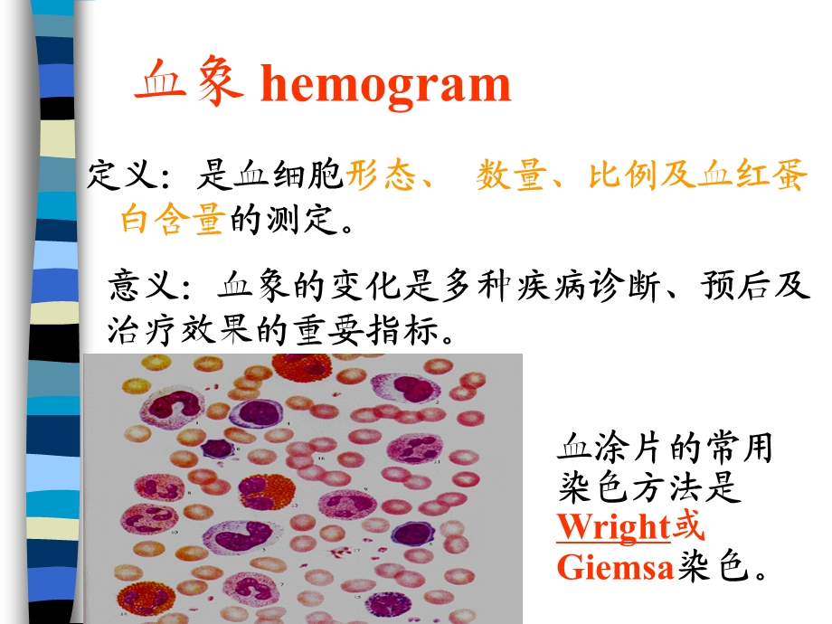 组织学与胚胎学血液与肌组织课件.ppt_第3页