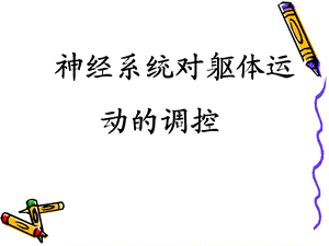 神经系统对躯体运动的调控 课件.ppt