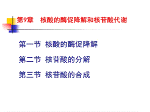 生物化学09核酸降解和核苷酸的代谢课件.ppt