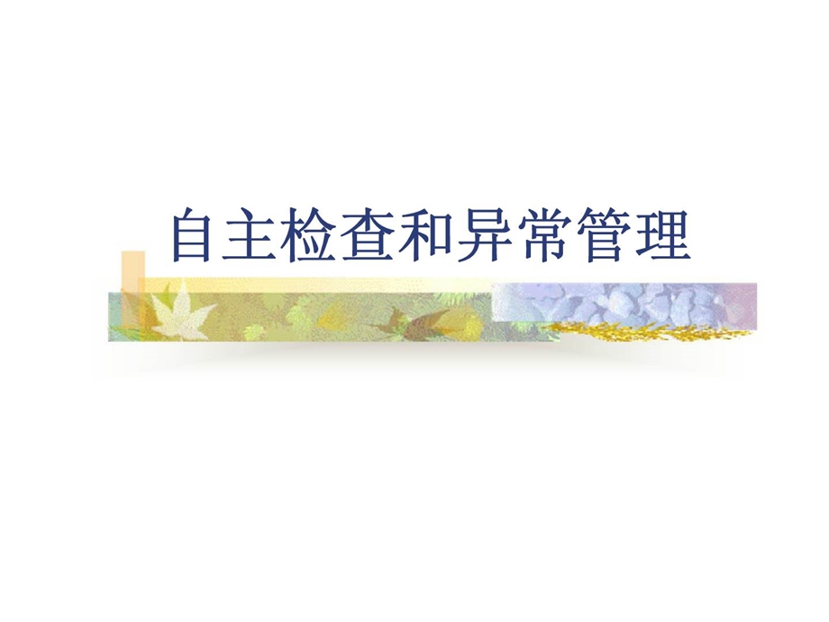 自主检查和异常管理ppt课件.ppt_第1页