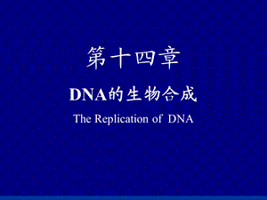 第九章DNA生物合成（最后动画）06级用课件.ppt