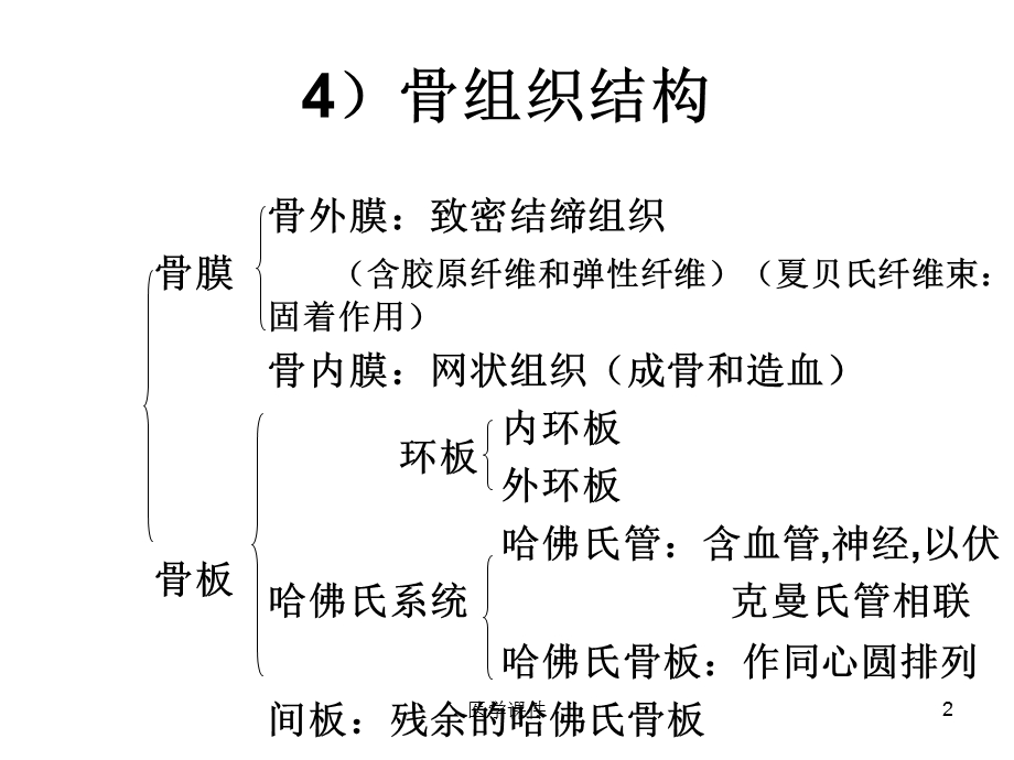 组织胚胎学组织 课件.ppt_第2页